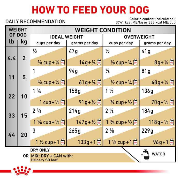 Veterinary Diet Canine Urinary SO Dry Dog Food H877