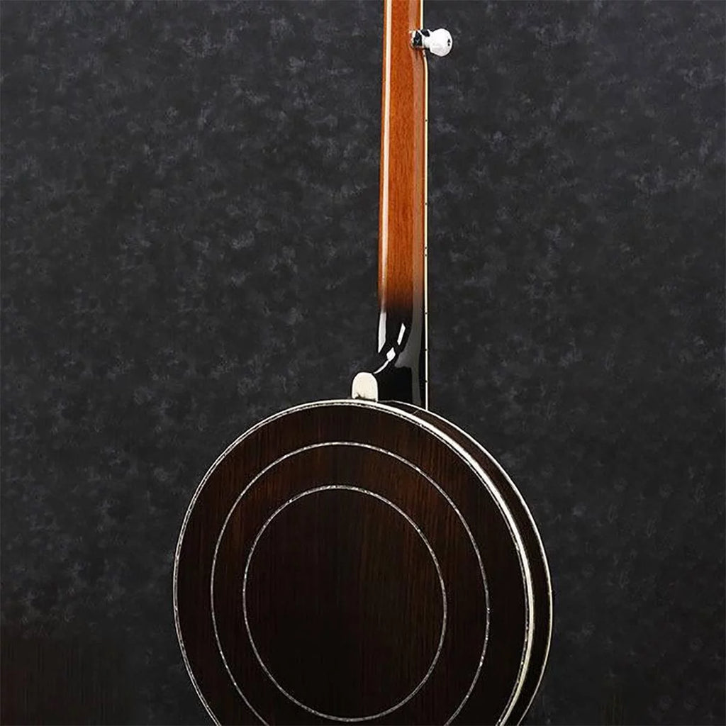5-String Banjo G6316
