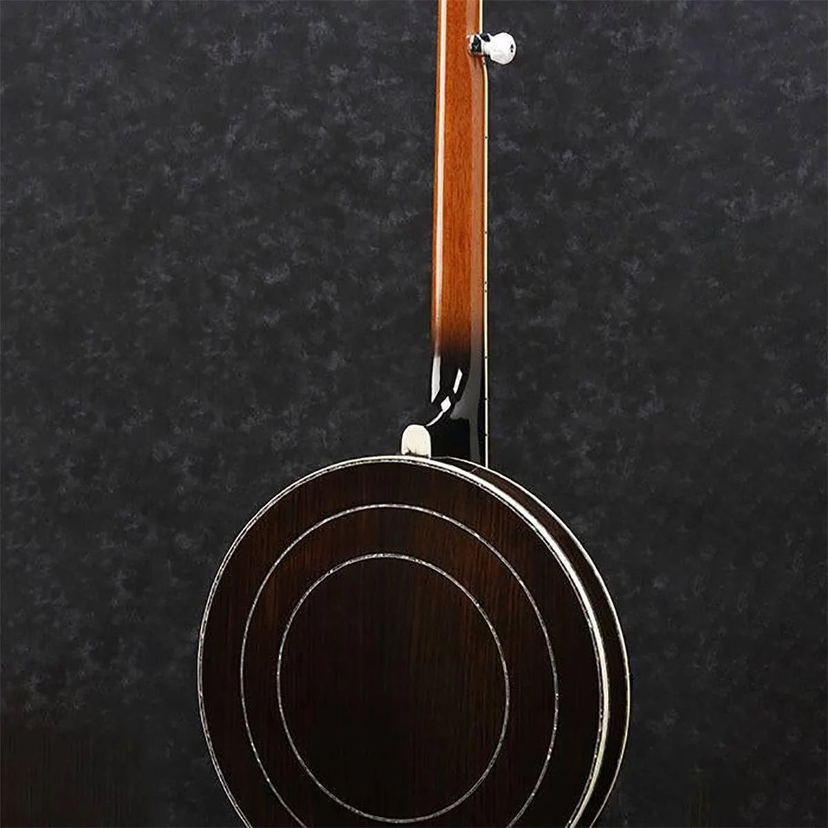 5-String Banjo G6316