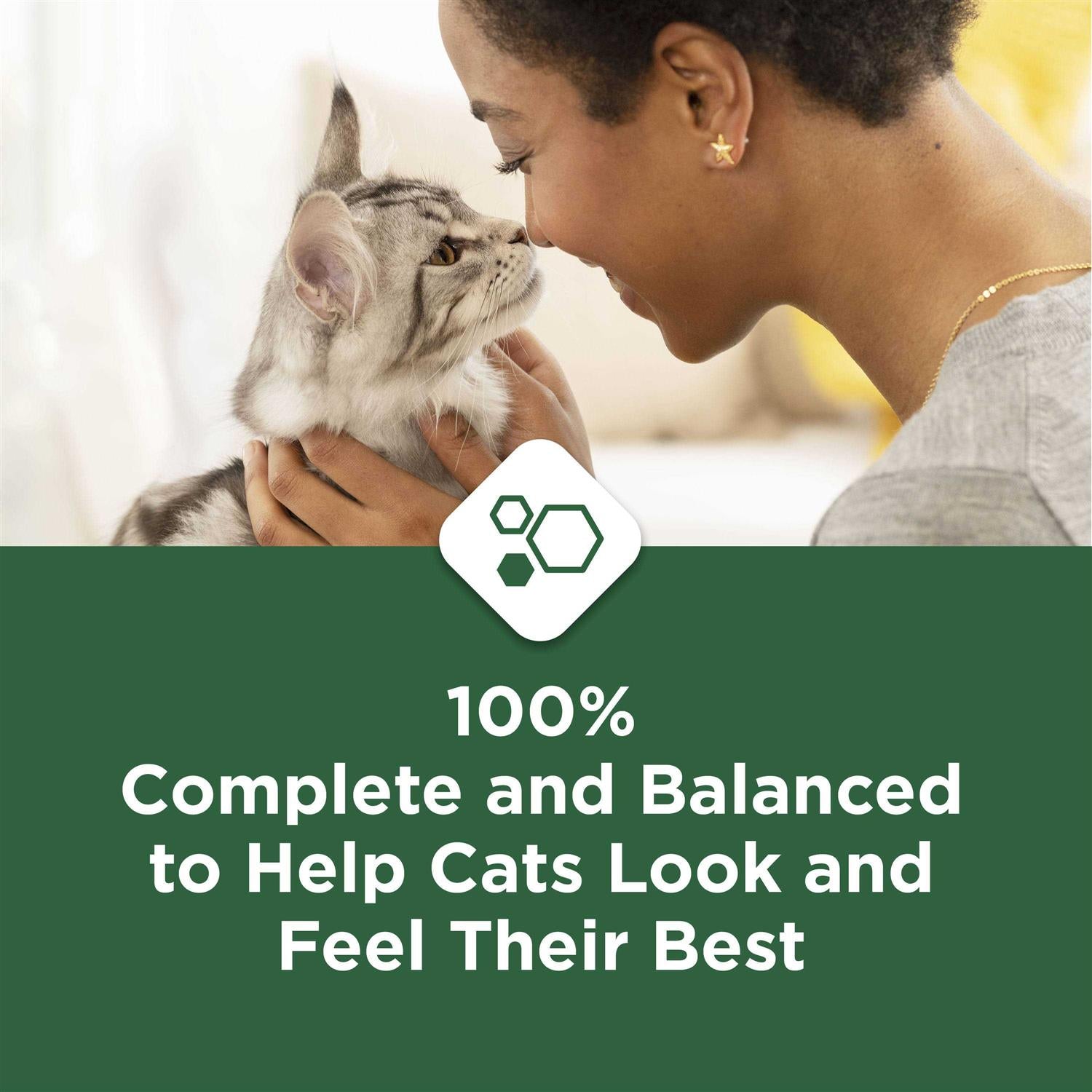 Indoor Dry Cat Food X68278
