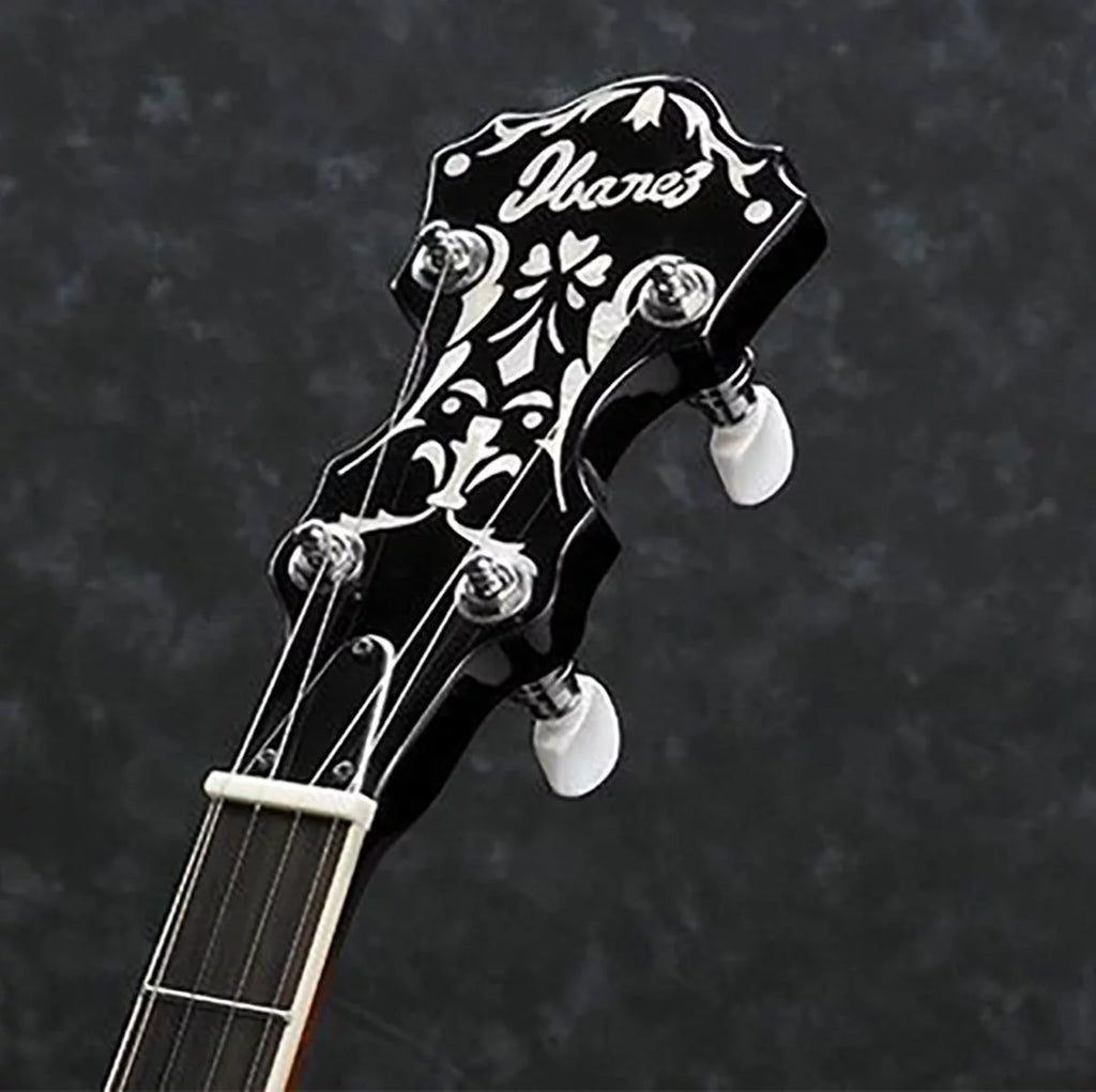 5-String Banjo G6316