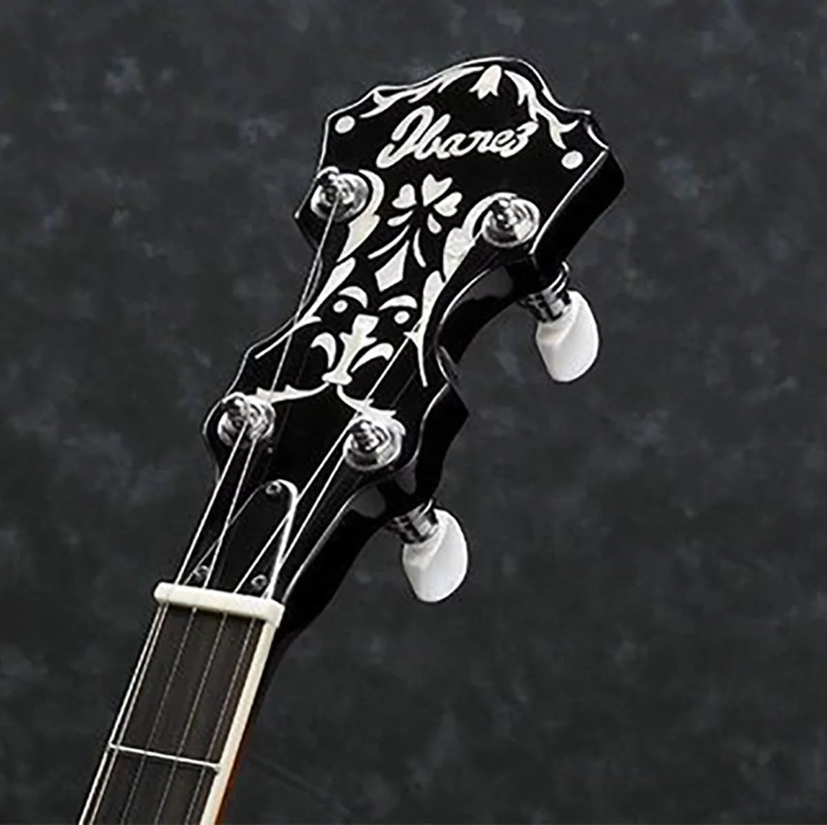5-String Banjo G6316