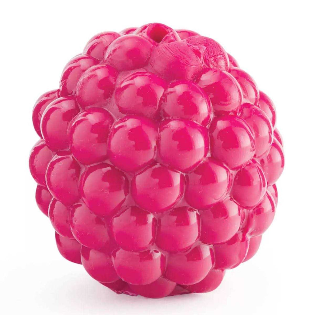 Dog Treat Dispensing Toy A8450
