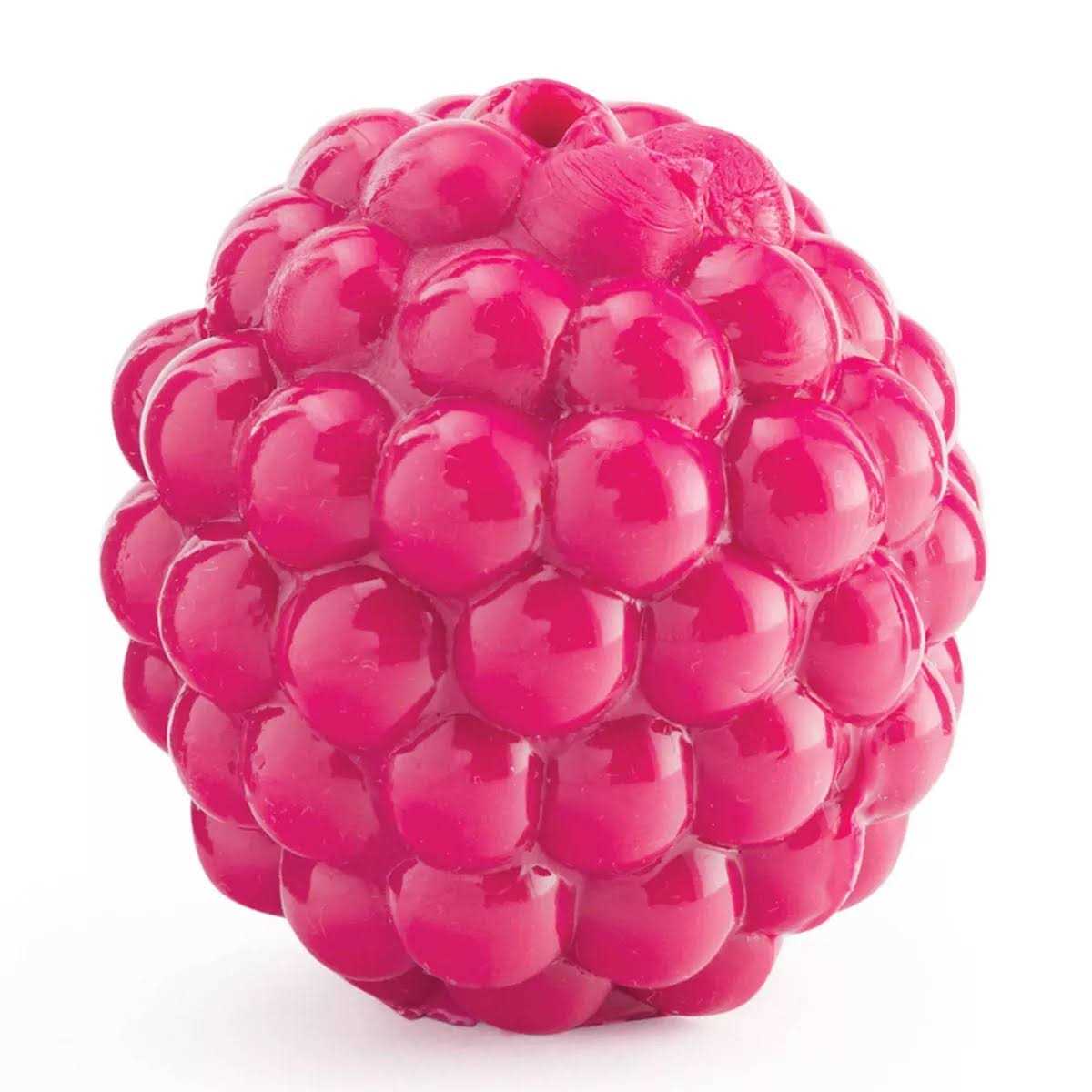 Dog Treat Dispensing Toy A8450
