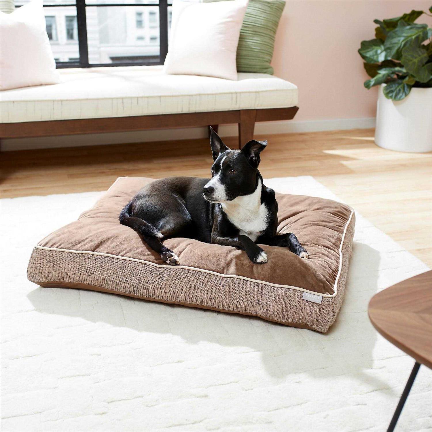 Frisco Plush Orthopedic Pillow Dog Bed w/Removable COVER - Pet Supplies online store