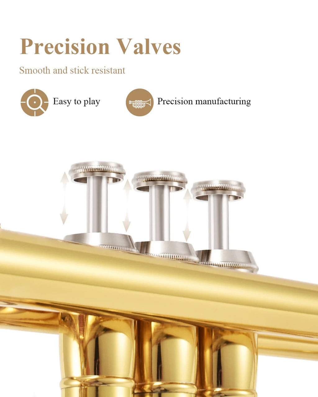 Bb Standard Brass Trumpet with Case Y8206