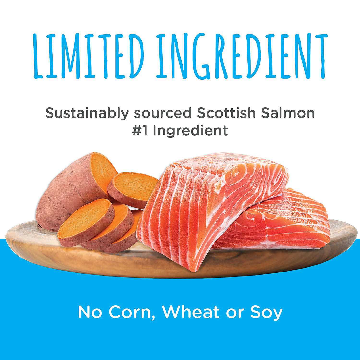 Scottish Salmon Bites Dog Treats W994190