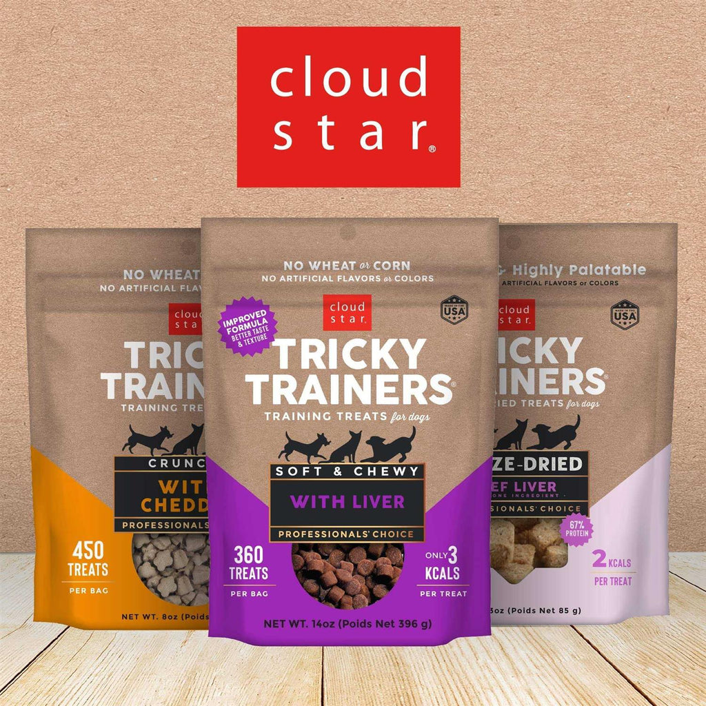 Chewy Cheddar Dog Treats D731590