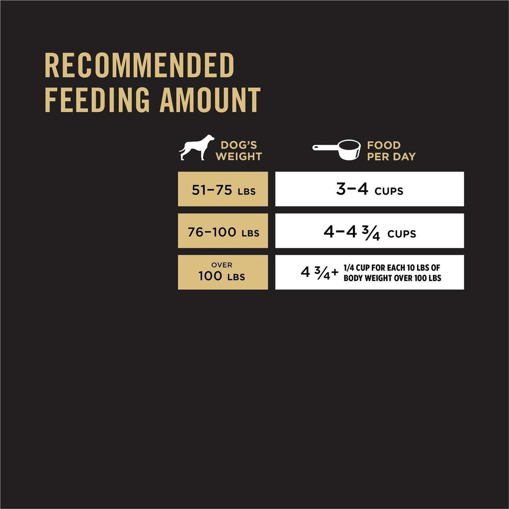 Large Breed Adult Dog Food Salmon Formula Sensitive Skin Stomach C2879