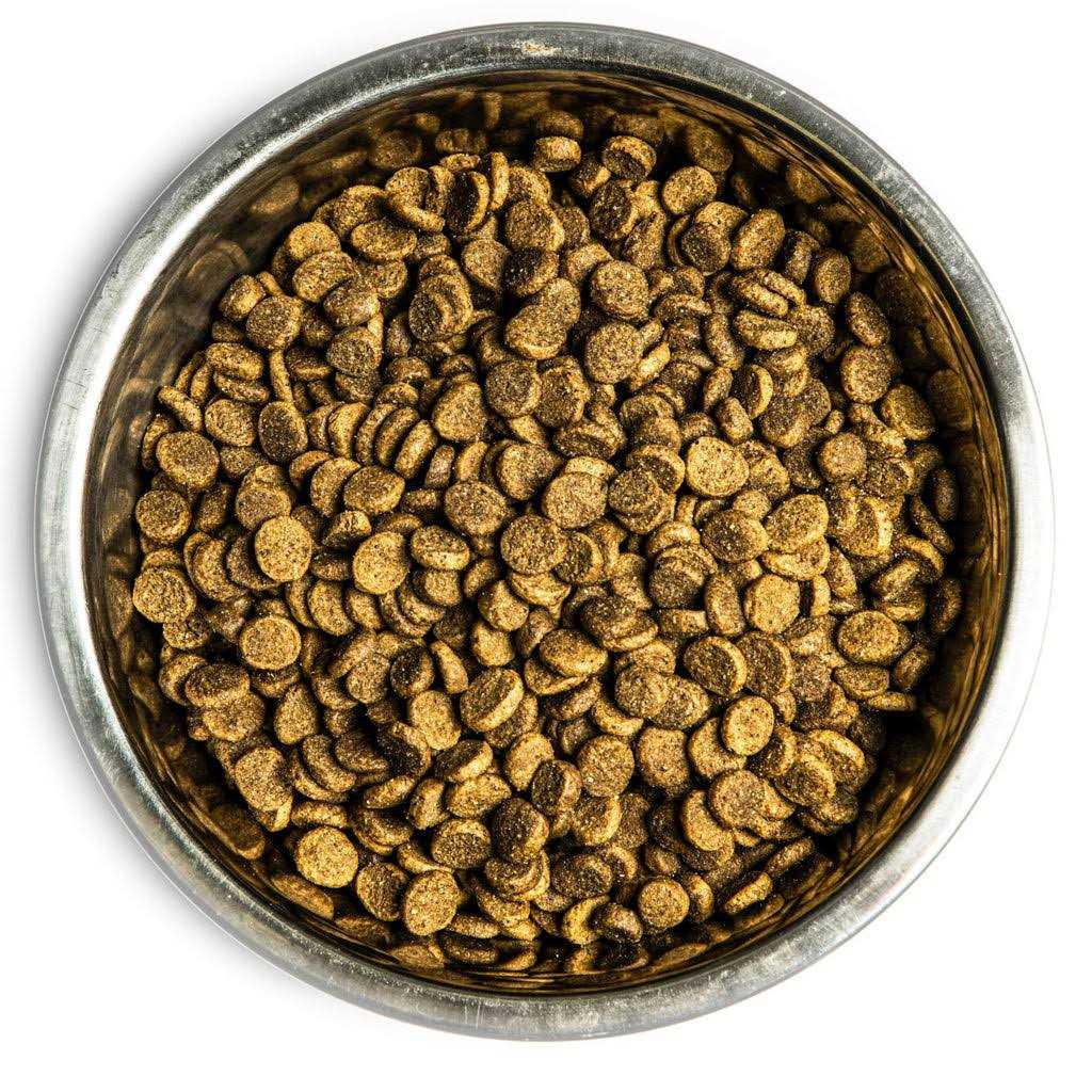 Dry Dog Food L18855