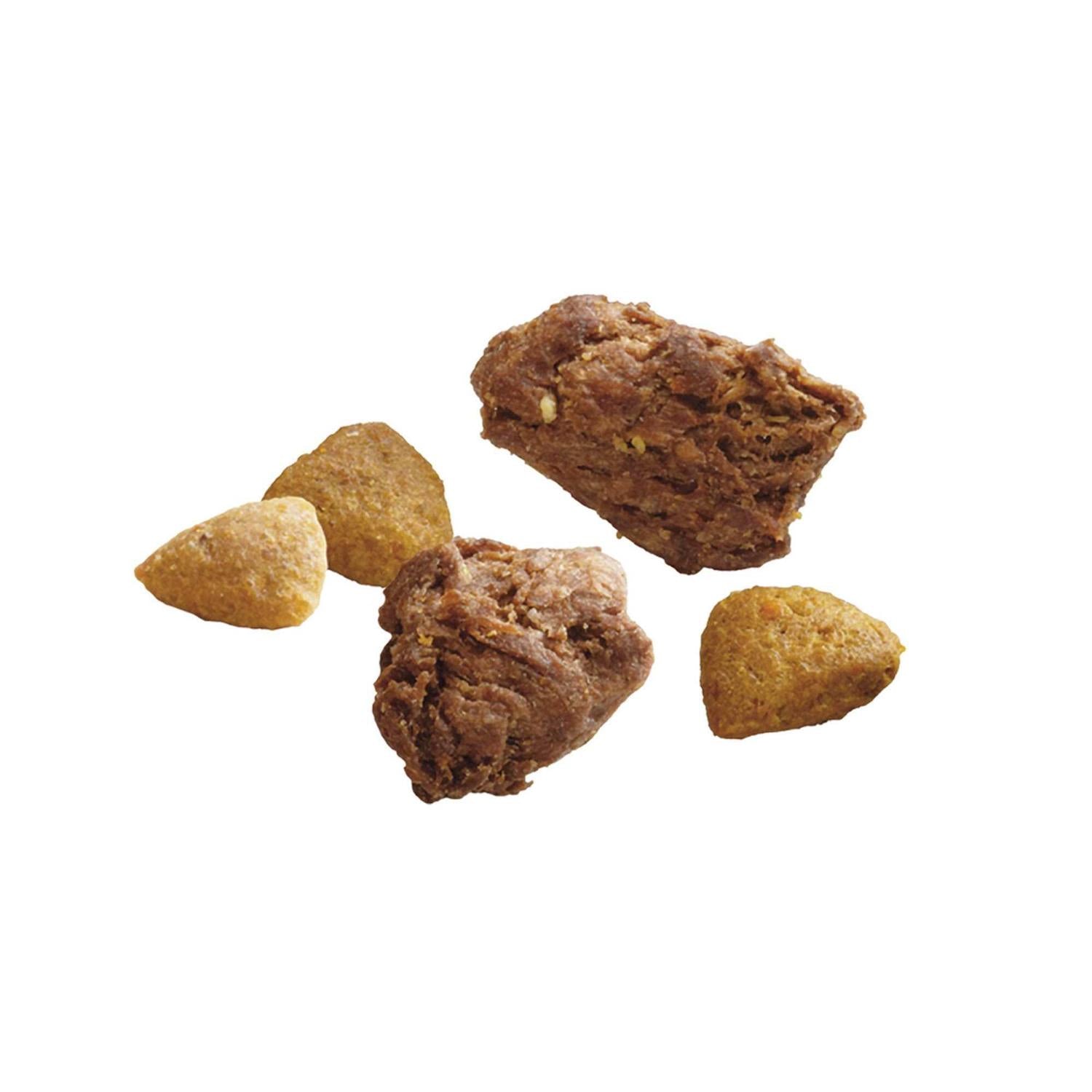 Dry Dog Food T3307