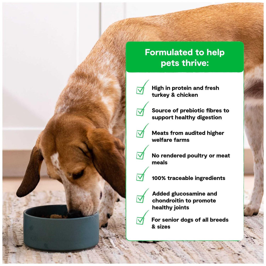 Senior Dry Dog Food Z214