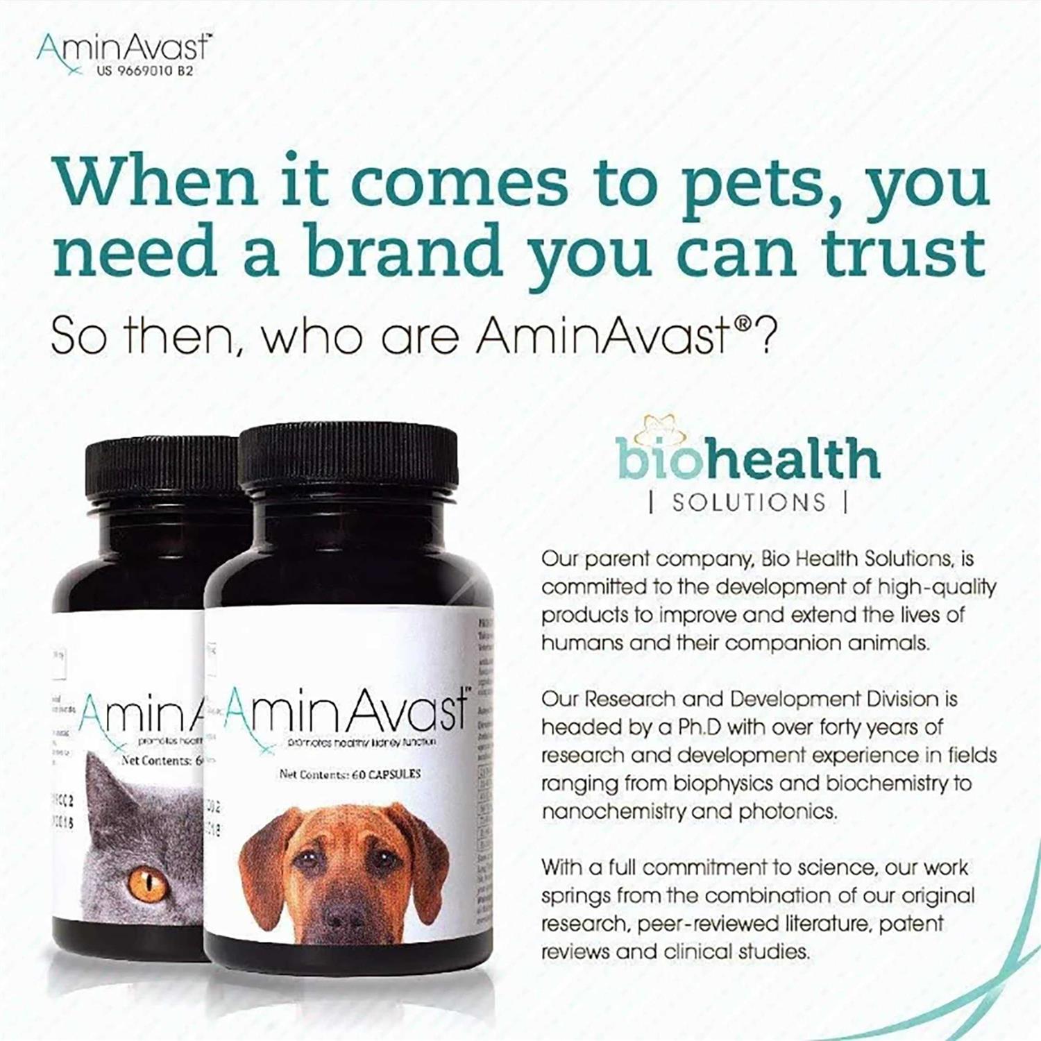 Kidney Support for Cats B43588