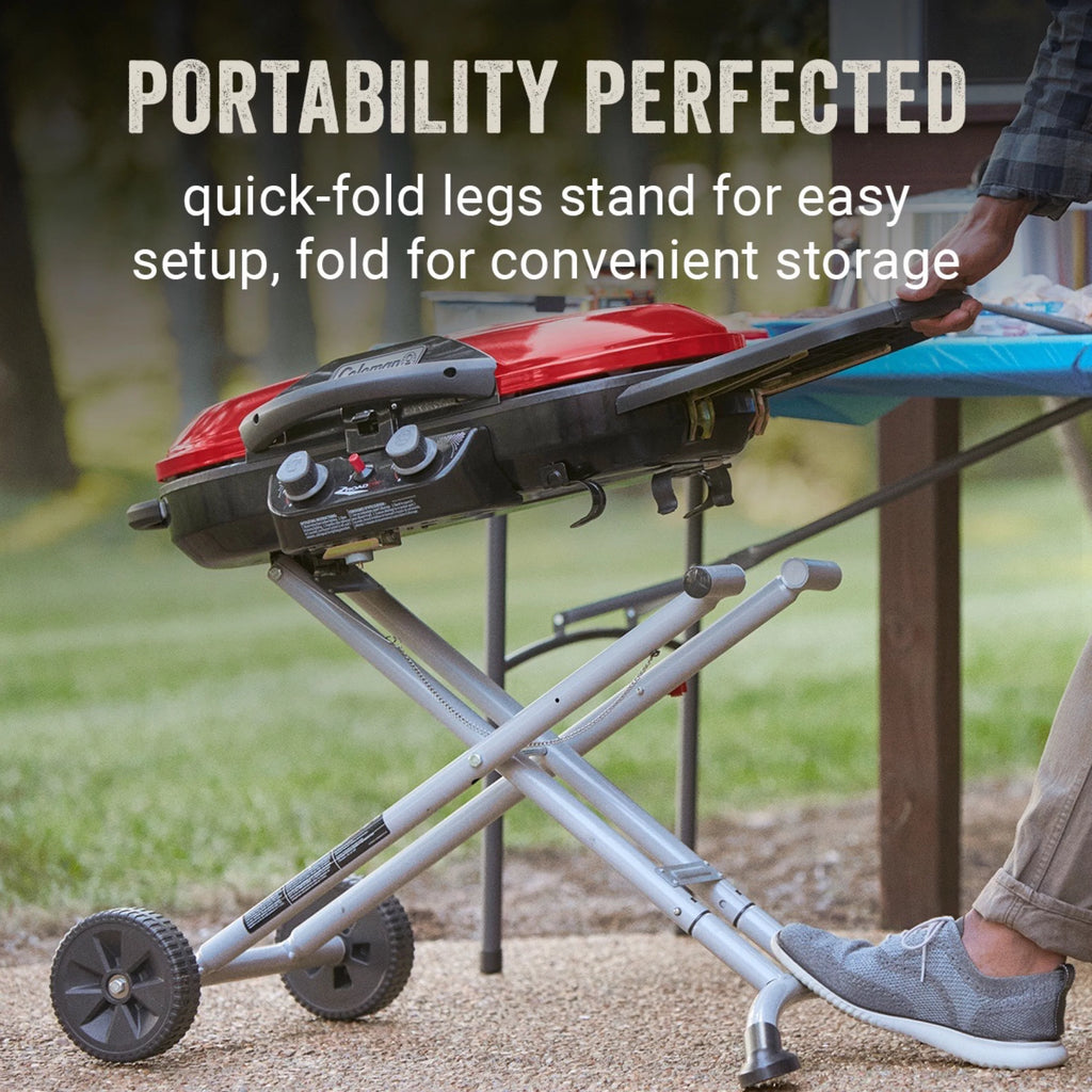 2 Burner Propane Gas Portable Grill W579893