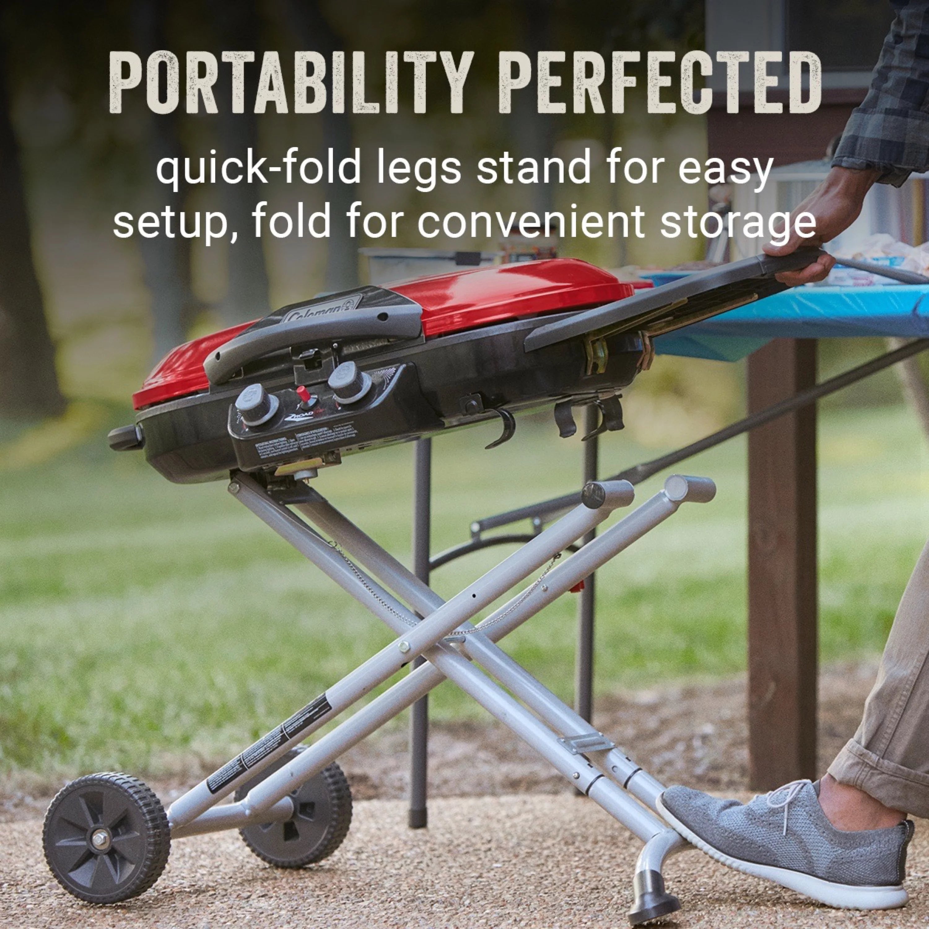 2 Burner Propane Gas Portable Grill W579893