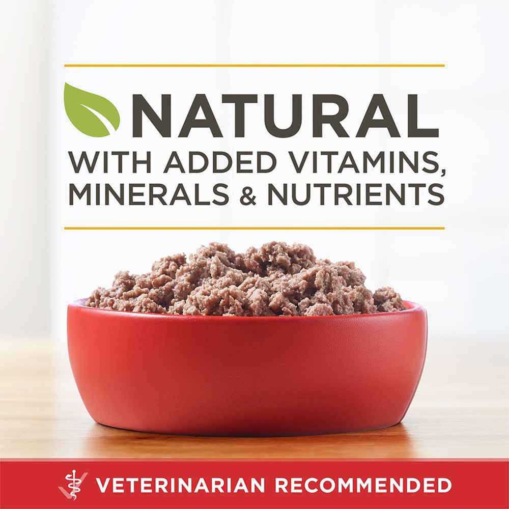 Grain Free Wet Dog Food Turkey and Venison M60525