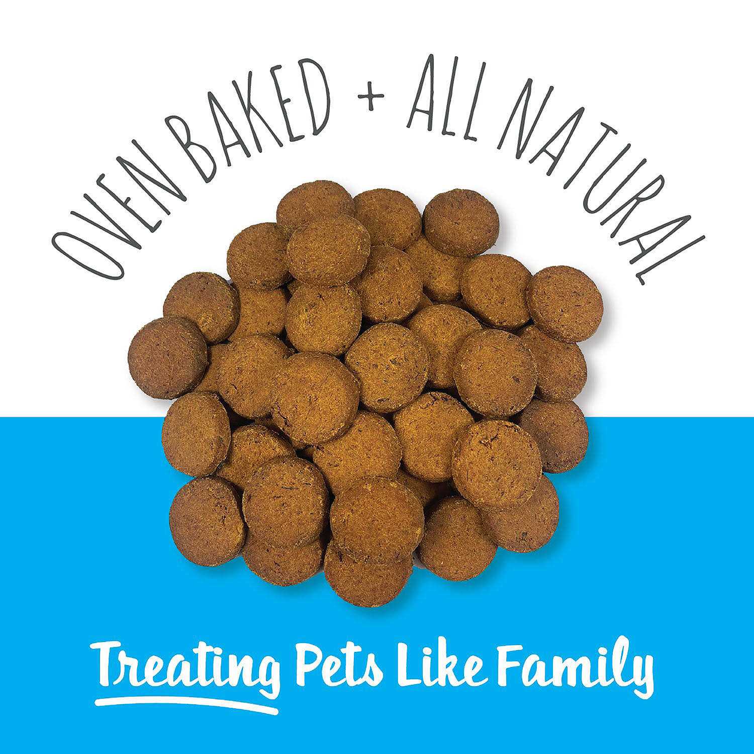 Scottish Salmon Bites Dog Treats W994190