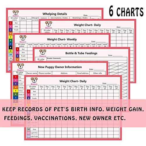 14PCS Soft Nylon Adjustable Breakaway Puppy ID Collars with Record Keeping Charts C48549
