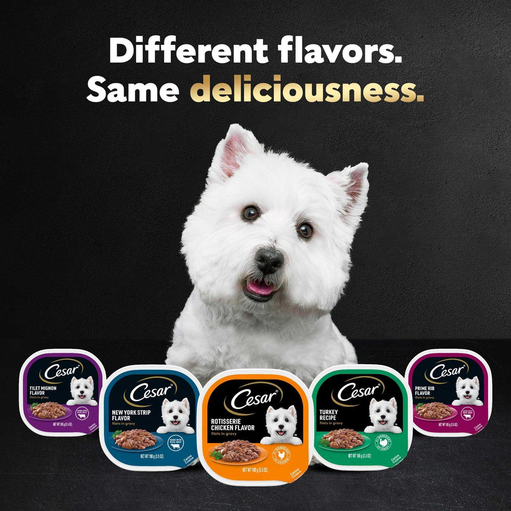 Gourmet Filet Mignon in Sauce Dog Food I684275