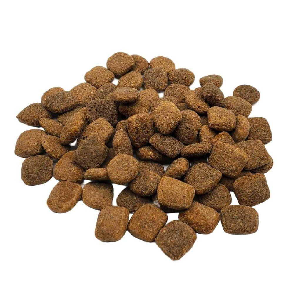 Chicken & Turkey Dry Dog Food S4776