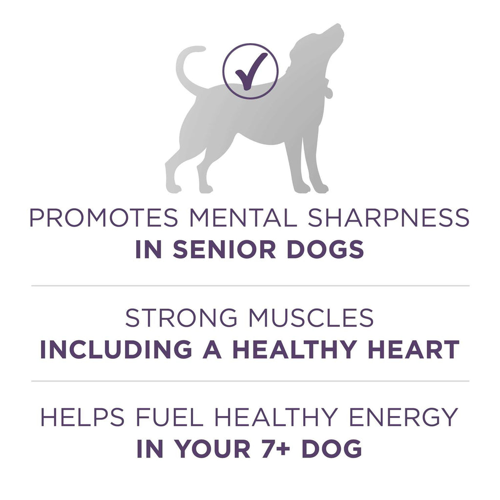 Adult Dry Dog Food for Senior Dogs O9422