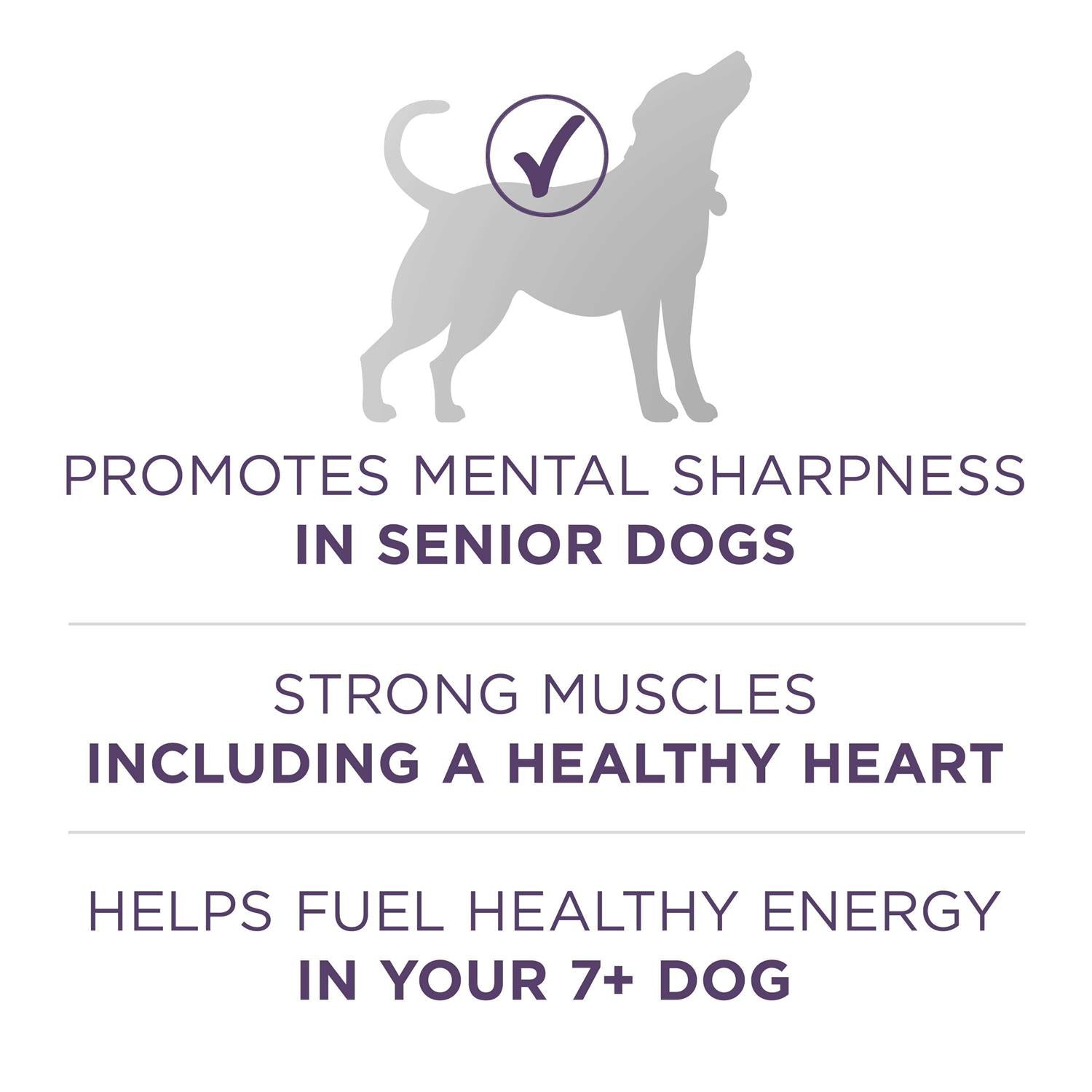 Adult Dry Dog Food for Senior Dogs O9422