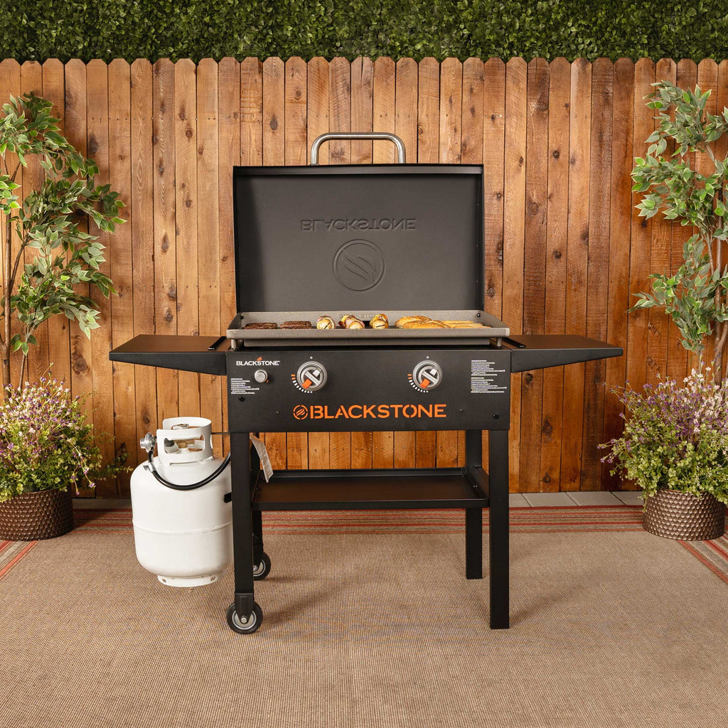 28" 2-Burner Propane Griddle with Hood D252