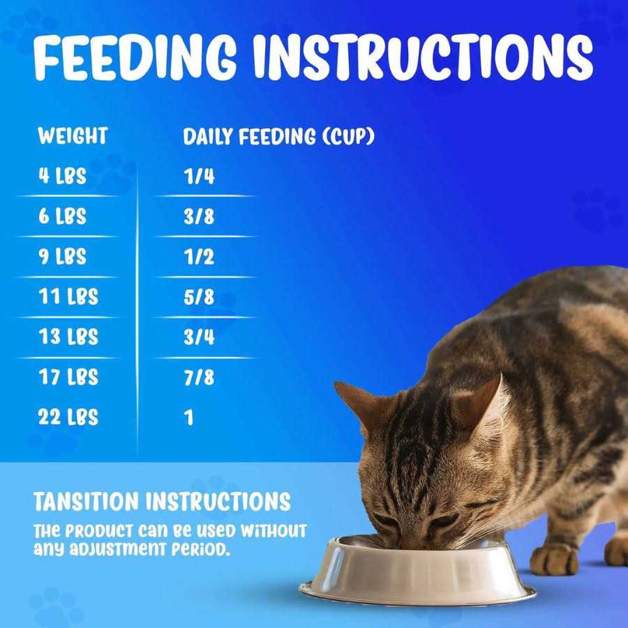 Urinary Dry Cat Food Q233084