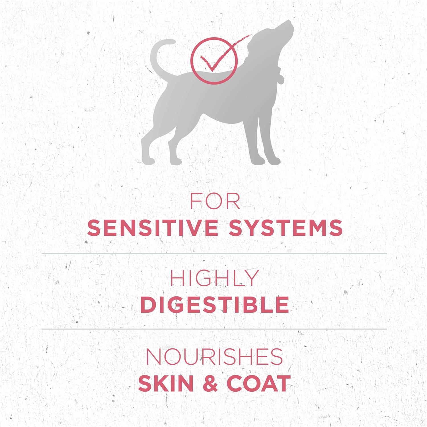Dry Dog Food for Skin & Coat U6780