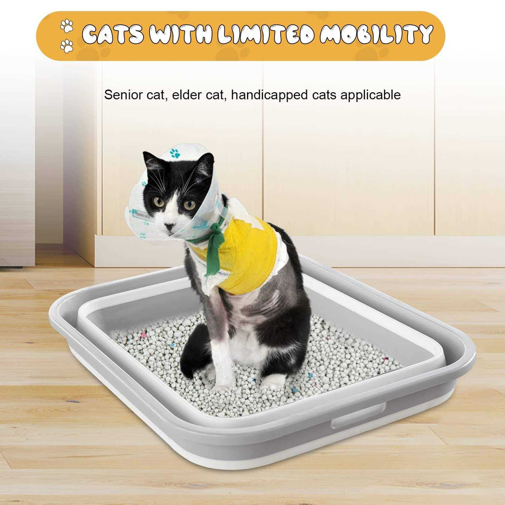 Senior Cat Litter Box Low Entry for Arthritic Disabled Cats G26827
