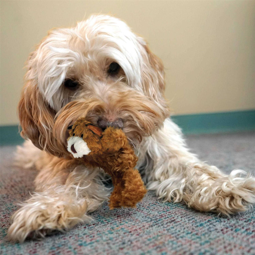 Teddy Bear Dog Toy J1065
