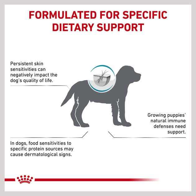 Hydrolyzed Protein Puppy Dry Dog Food R36565