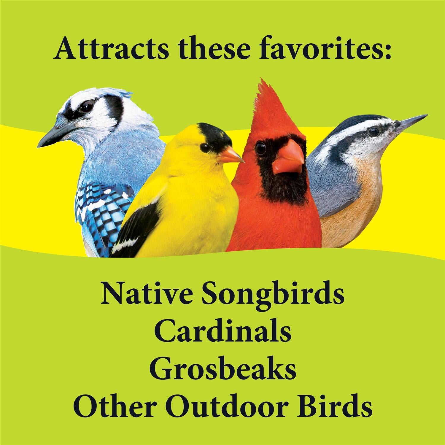 Deck Porch Patio Blend Wild Bird Food O262174