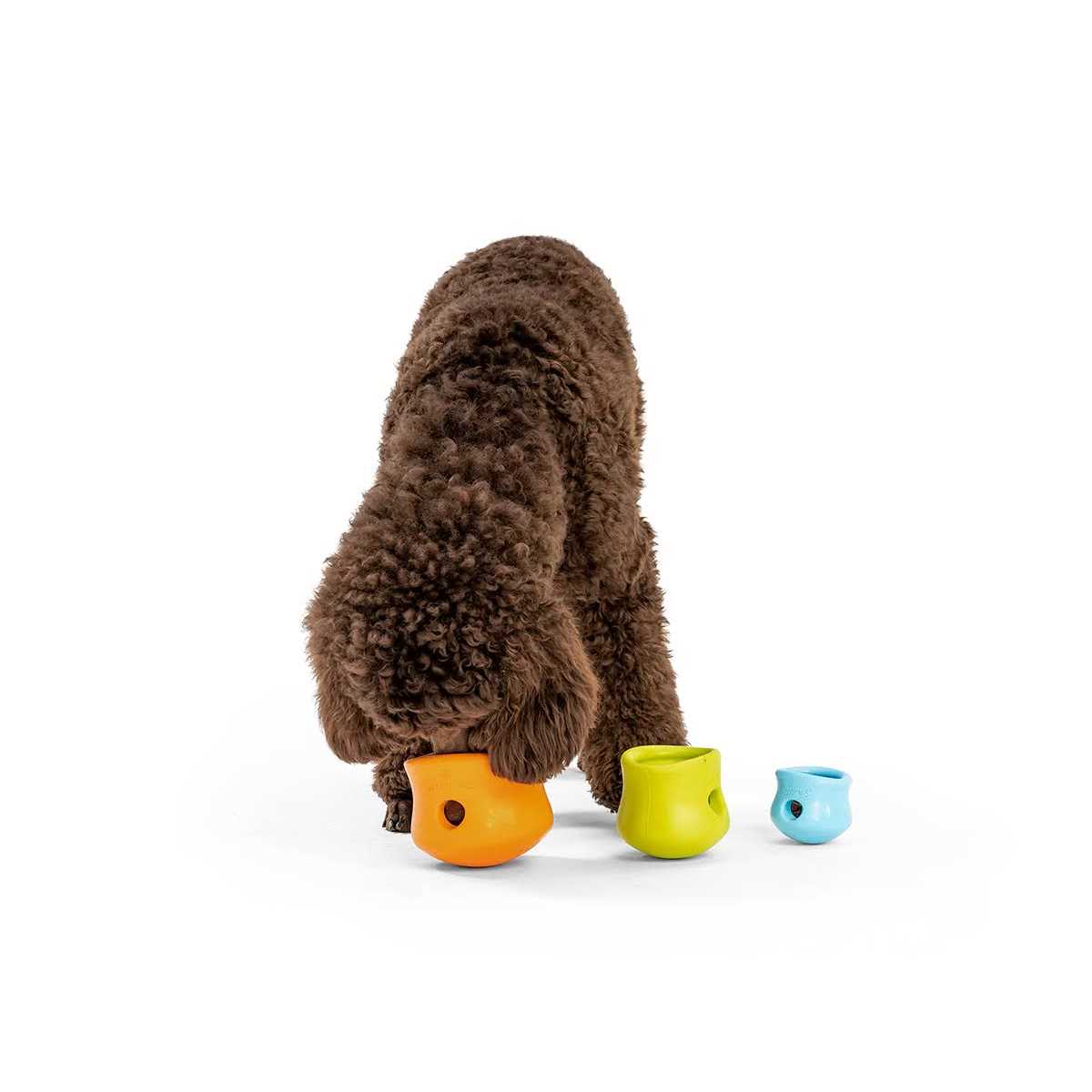 Dog Toy H4855