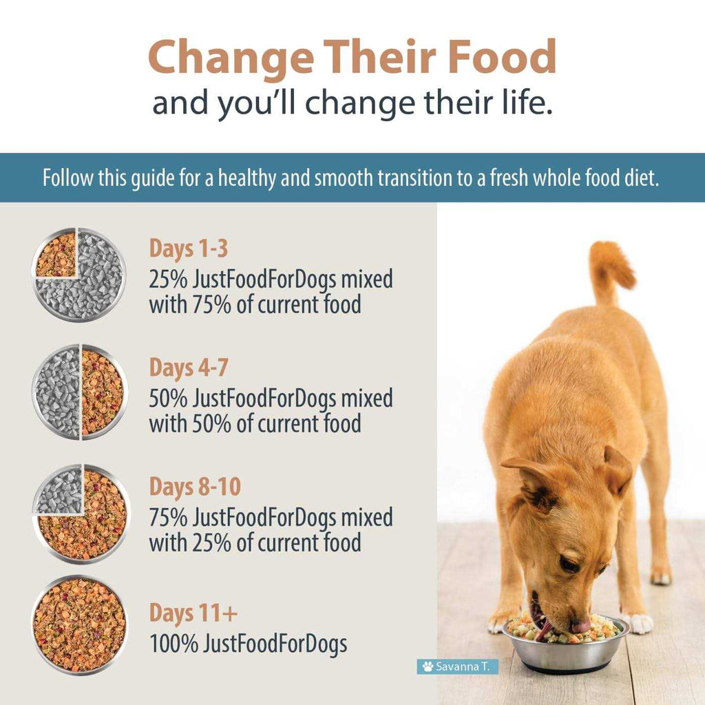Balanced Remedy Frozen Dog Food G560000