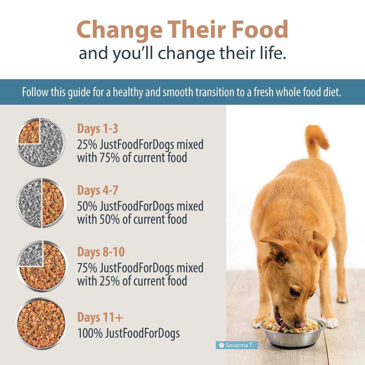 Balanced Remedy Frozen Dog Food G560000