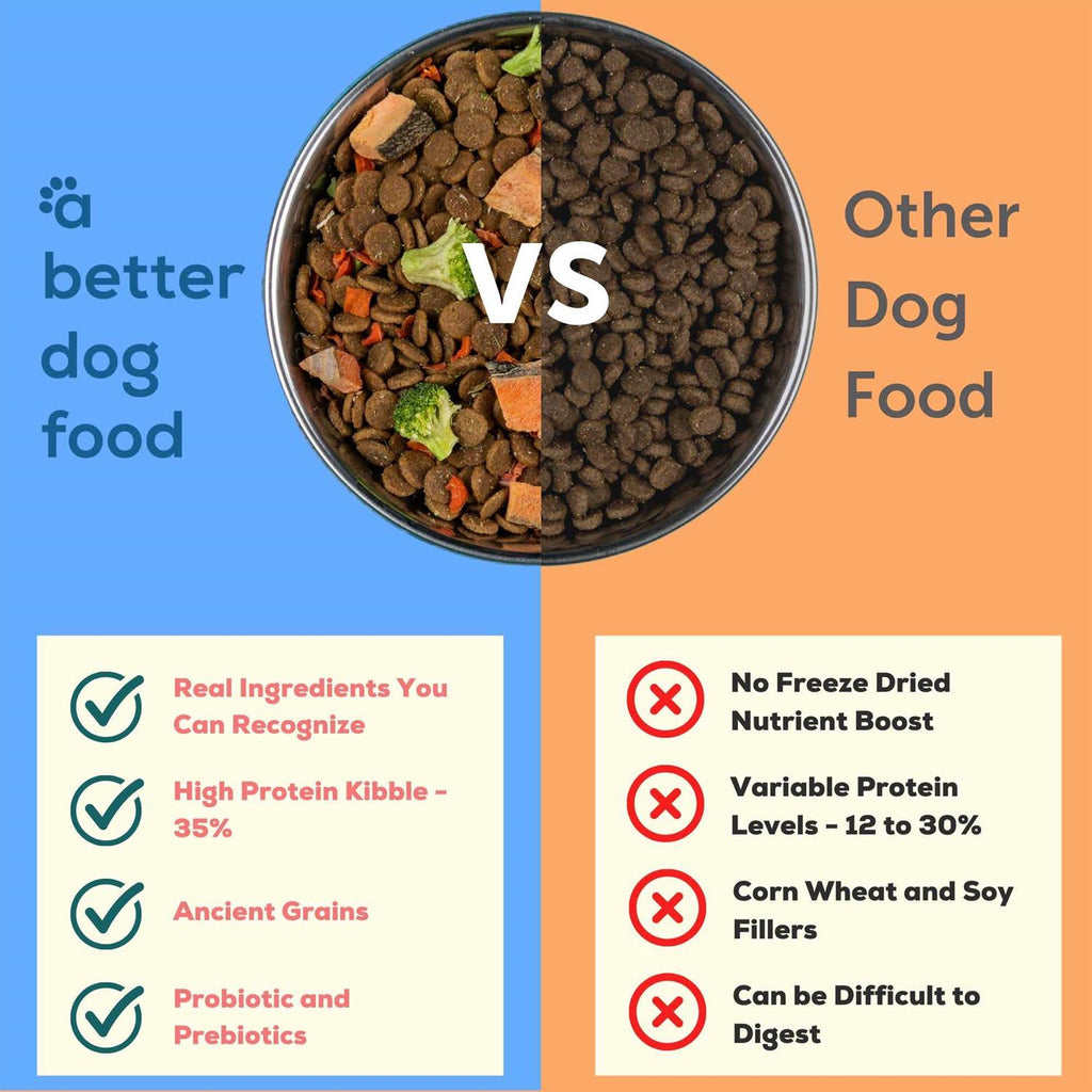 Salmon Raw Dog Food I19614