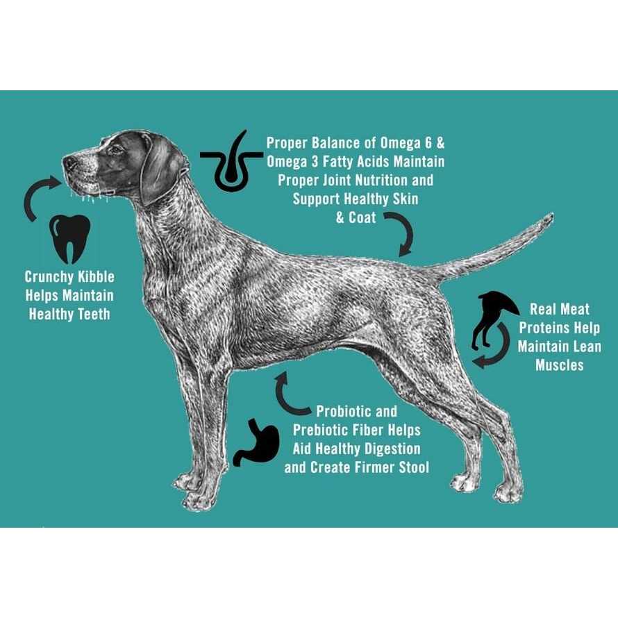 Adult Dry Dog Food Y223