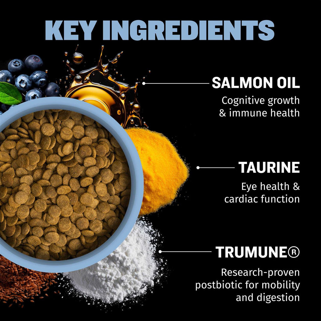 Small Breed Dog Food D930962