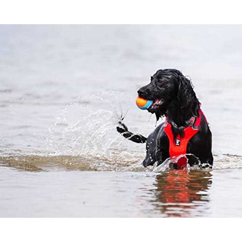 Squeak Ball for Dogs O5840