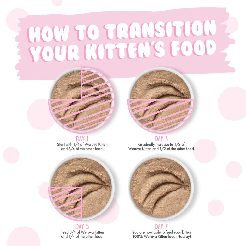 Chicken Breast in Puree Wet Cat Food Q2308