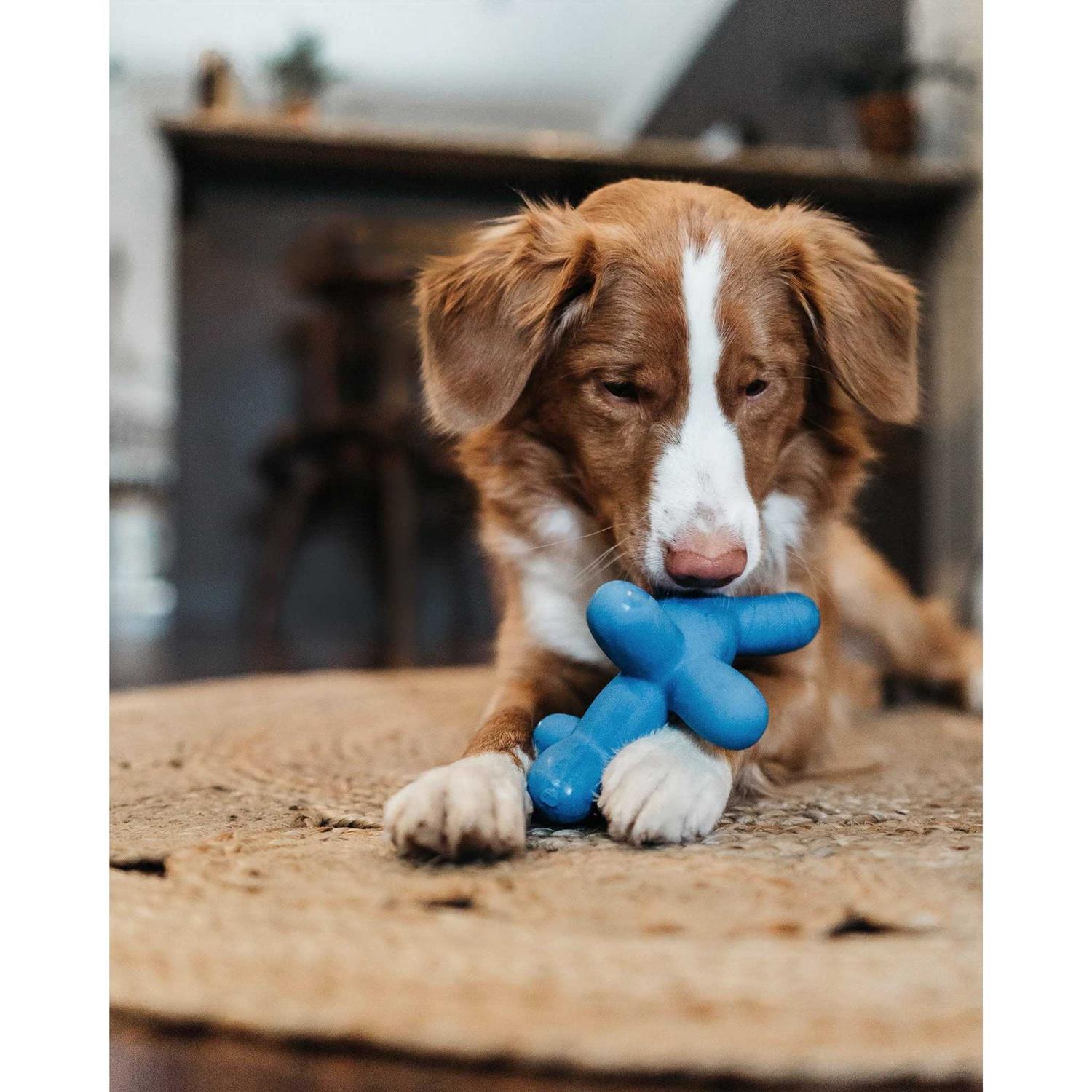 Balloon Dog Toy for Pets F911