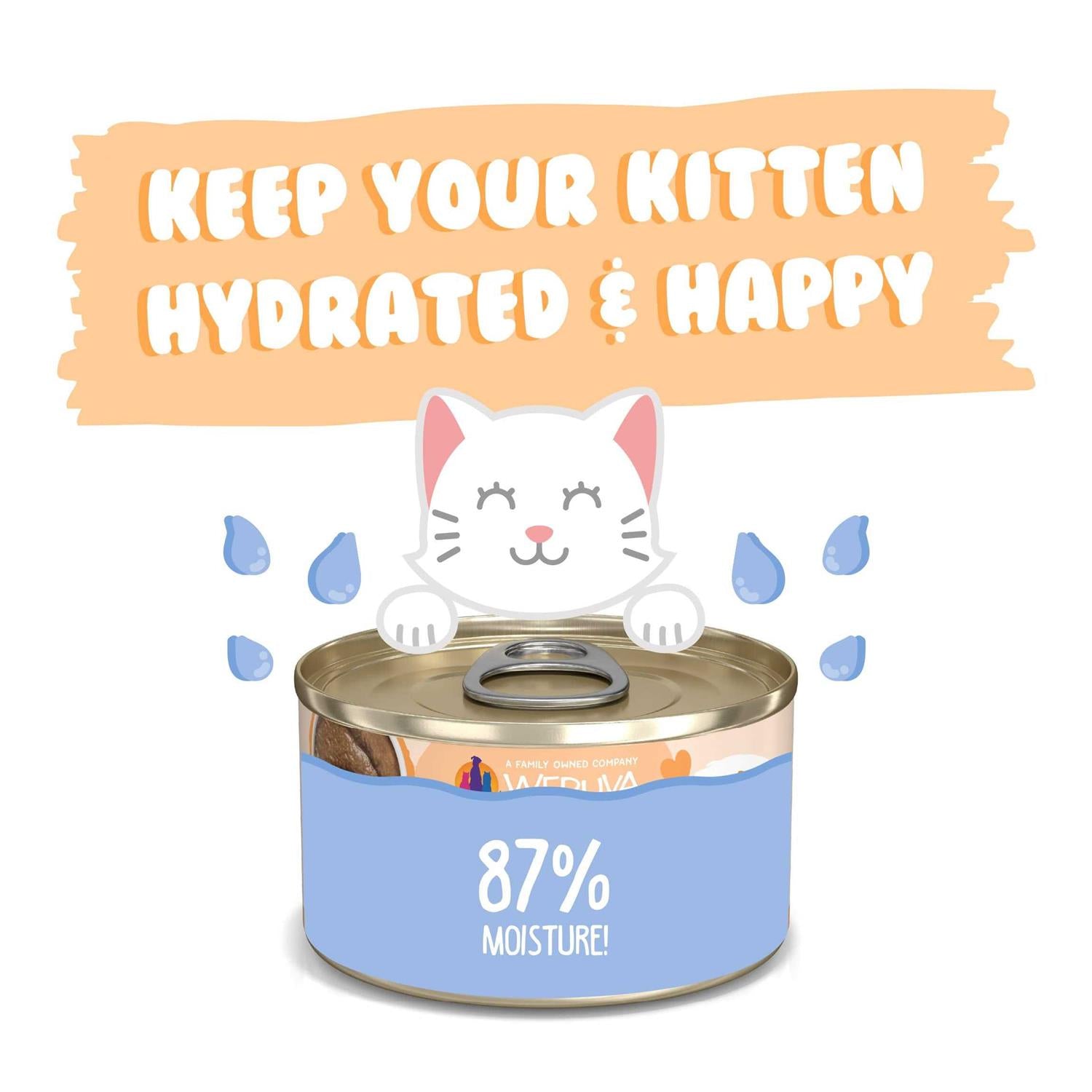 Kitten Tuna & Salmon in Hydrating Puree Cat Food H602
