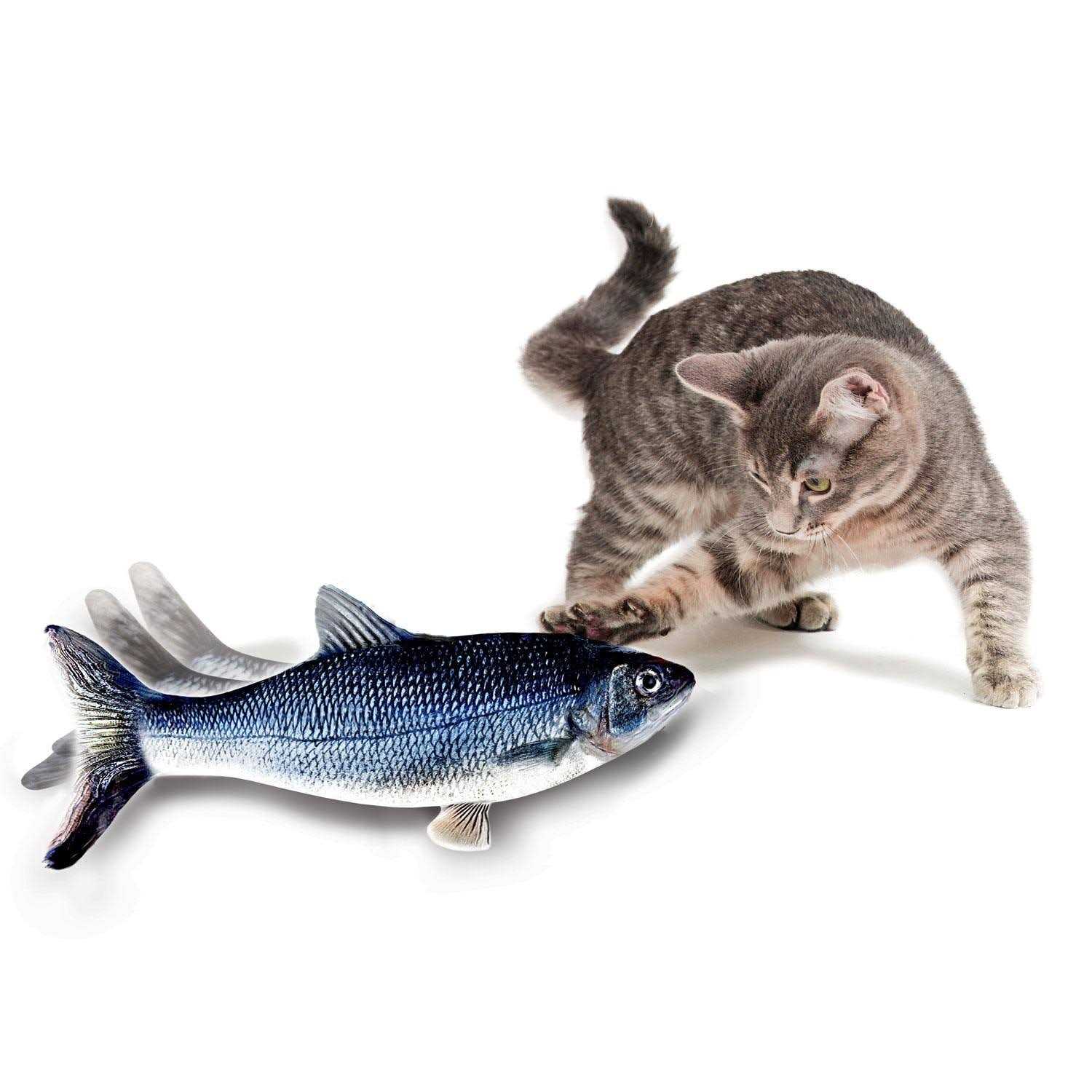 Cat Toy U219496