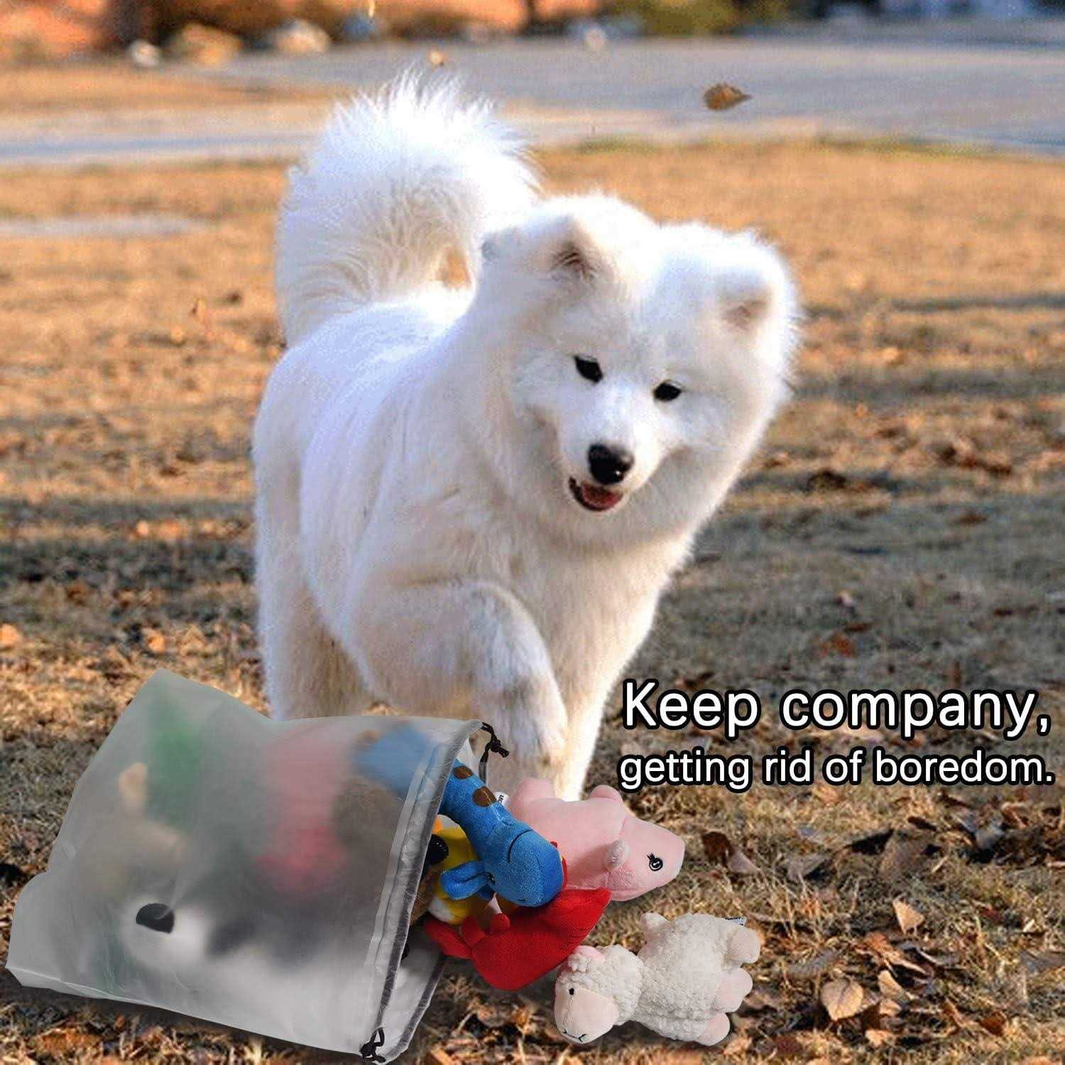 Squeaky Plush Dog Toy Pack for Puppy Small Stuffed Chew Toys with Squeakers E422