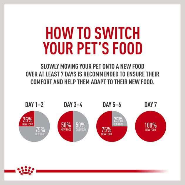 Small Adult Wet Dog Food V656604