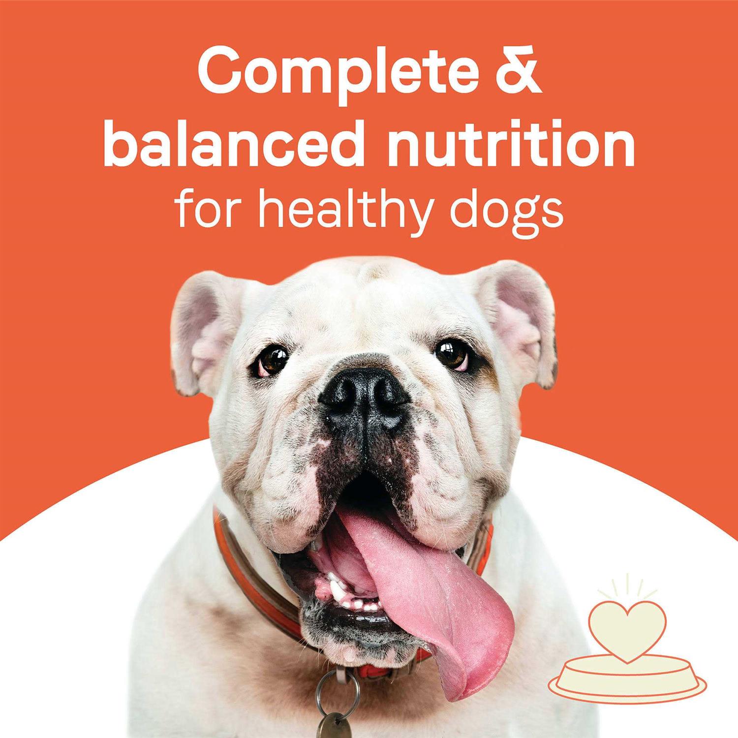 Adult Dry Dog Food Beef and Oatmeal B6790