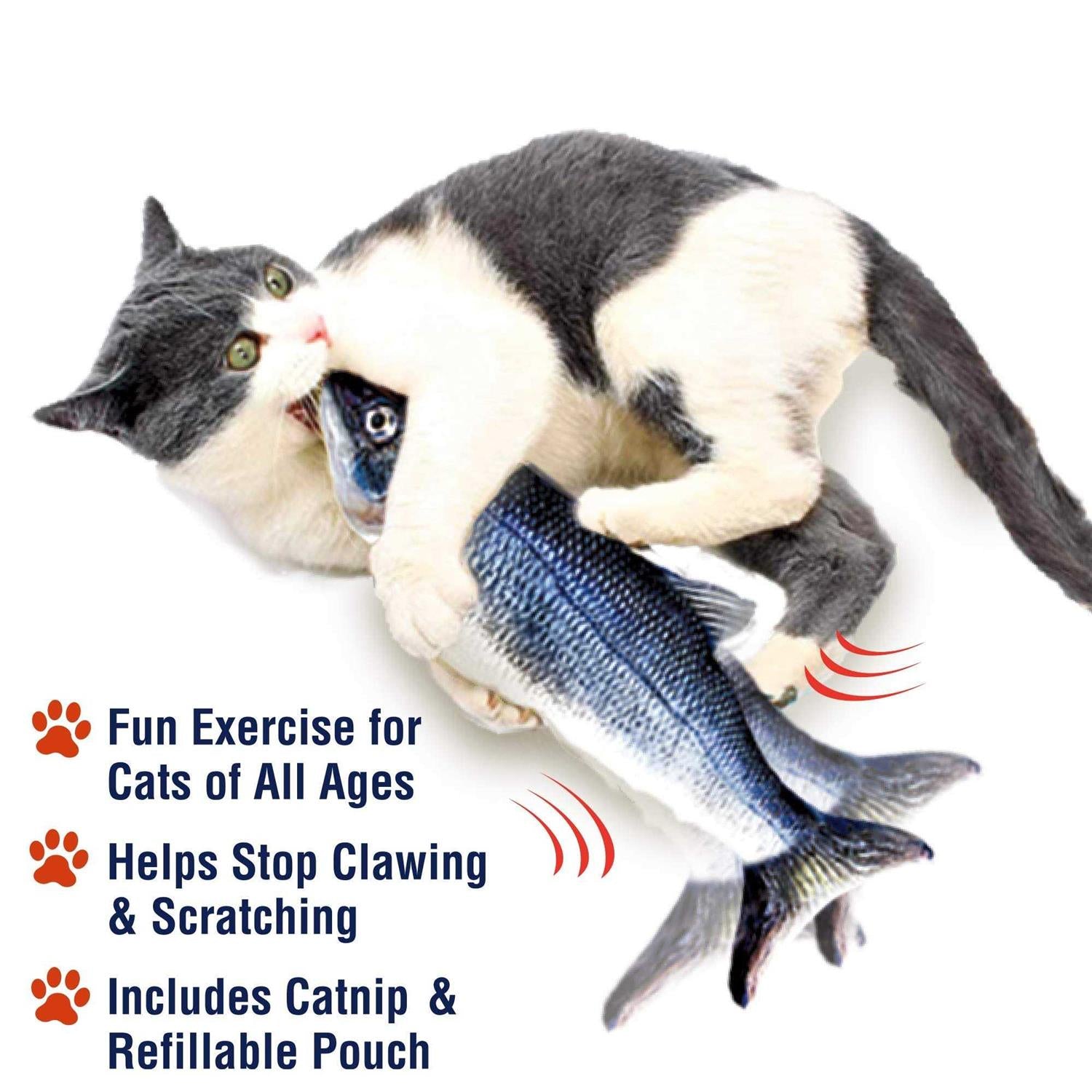 Cat Toy U219496