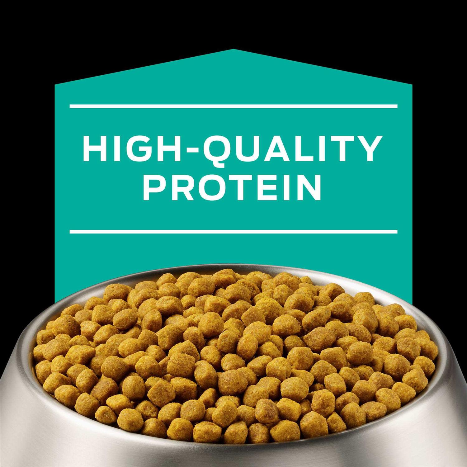 Gastroenteric Formula Dry Dog Food P283