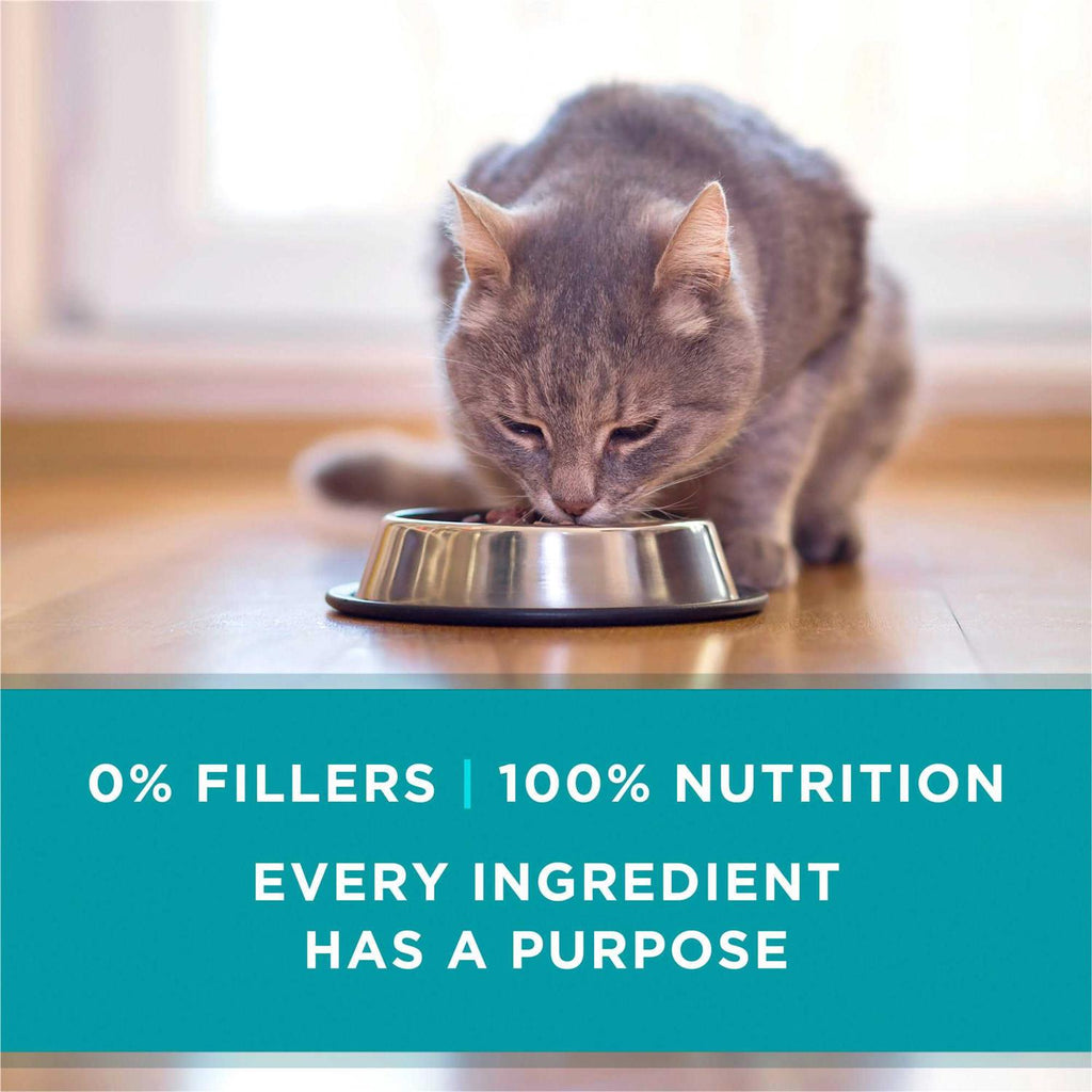 Cat Food M555